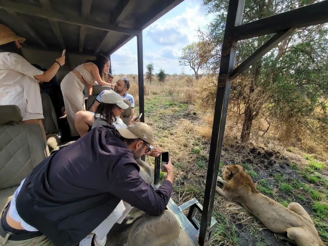 Ultimate 3 Days Serengeti Luxury Christmas Holiday 2026, 2027 & 2028